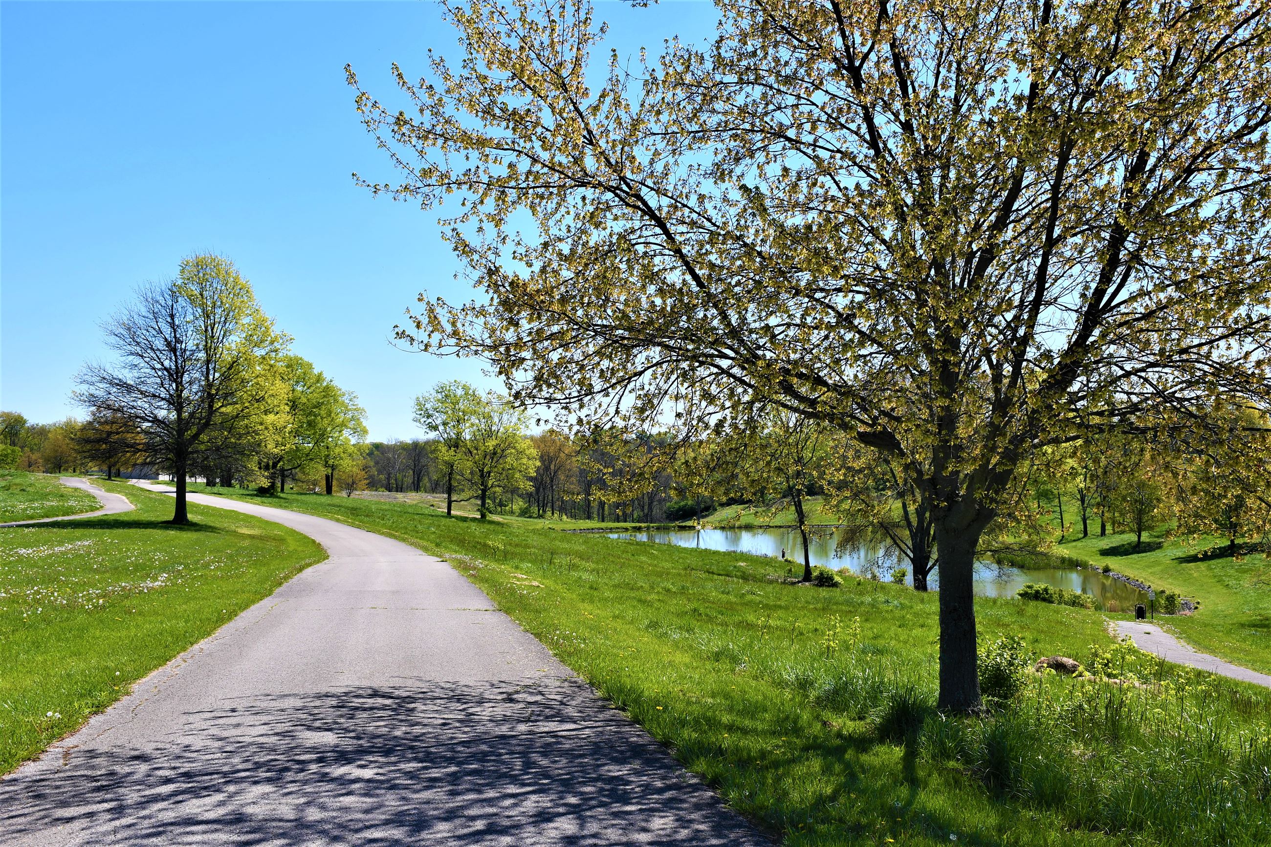 Walking Path at New Kenton County Park