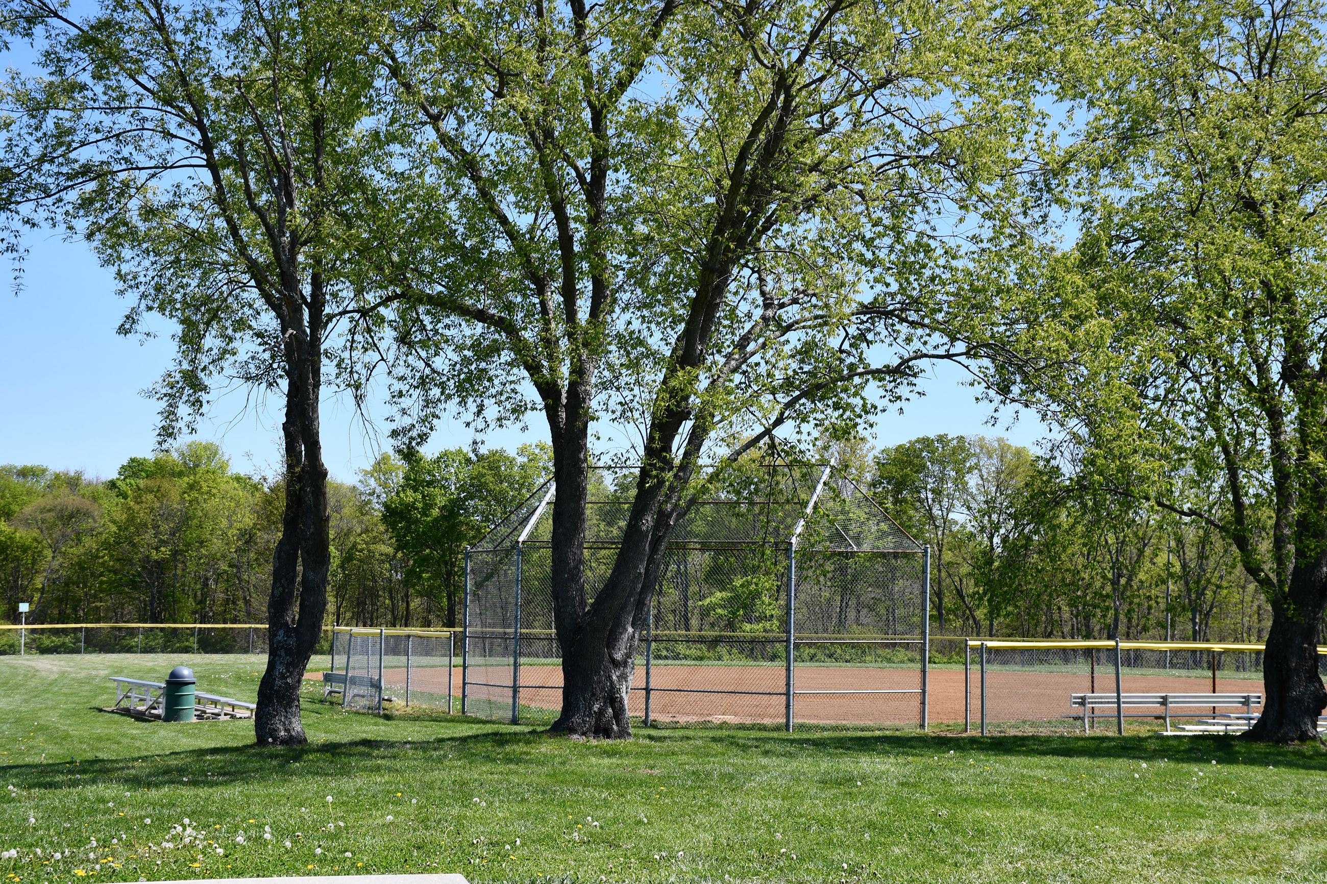 Softball Field at Lincoln Ridge Park