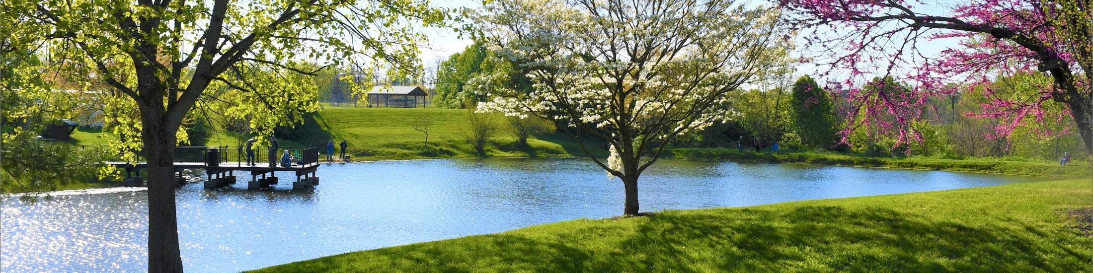 Middleton Mills Park