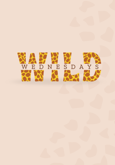 wild wednesdays with giraffe print
